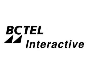 Bctel 互動式