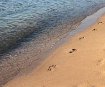 Mamaia รอยเท้าของชายหาด