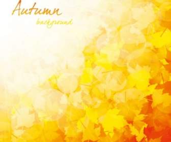 Beautiful Autumn Background Vector