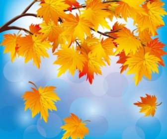 Schöne Herbst Blatt Hintergrund Vektor