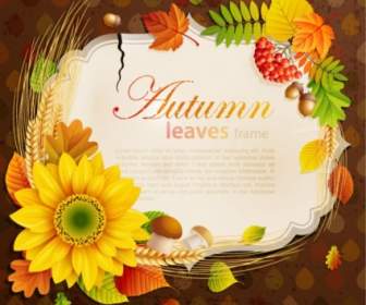 Beautiful Autumn Leaves Frame Background Vector