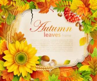 Beautiful Autumn Leaves Frame Background Vector
