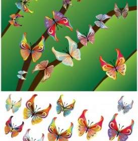 Beaux Papillons Vector Design Papillon Vectoriel Adobe Illustrator