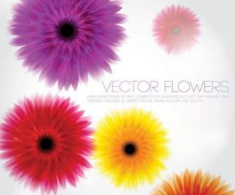 Vector Fondo De Flores Hermosas