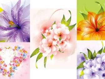 Beautiful Flowers Collections