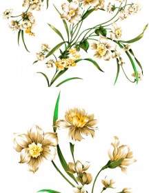 đẹp Handdrawn Phong Cách Daffodils Psd Lớp