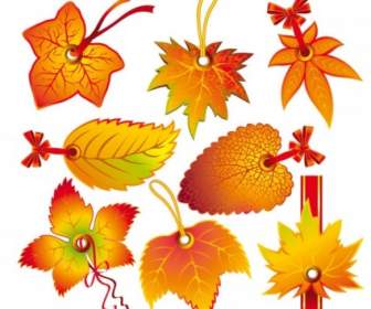 Beautiful Leaves Tag Vector