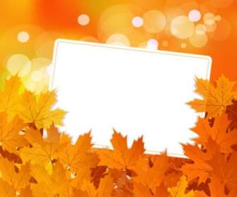 Beautiful Maple Leaf Background Vector