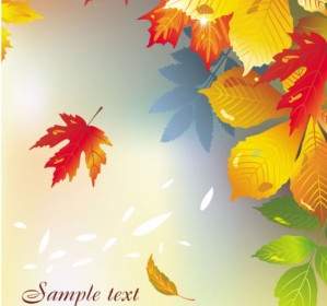 Beautiful Maple Leaf Background Vector