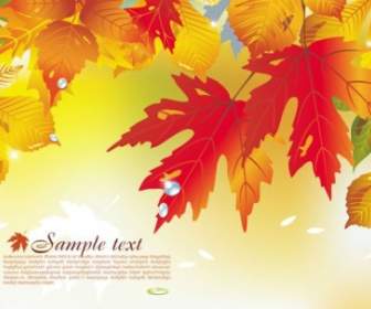 Beautiful Maple Leaf Hintergrund Vektor