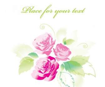 Beautiful Roses Greeting Cards Vector