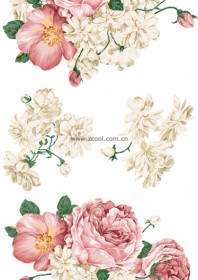 手塗りの牡丹の花の Psd の美しいスタイルの層