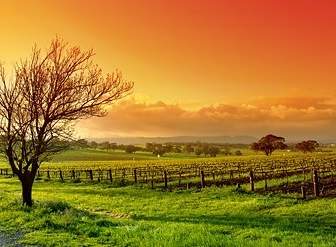 Beautiful The Outskirts Scenery Picture
