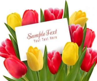 Latar Belakang Bunga Tulip Indah
