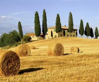 Monde Merveilleux De L'Italie Du Papier Peint Toscane