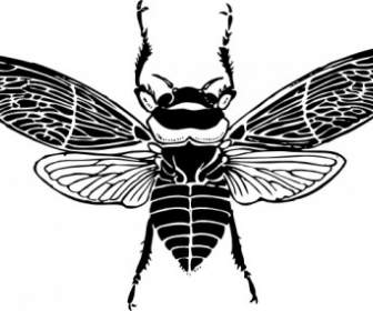 Lebah Atas Tampilan Clip Art