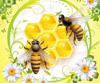 蜜蜂向量