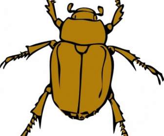 Beetle Bug ClipArt