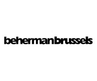 Beherman ブリュッセル