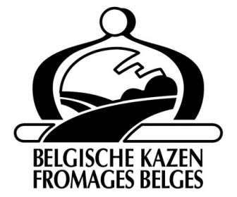 Belgische Kazen