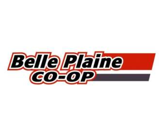 Co Op De Belle Plaine