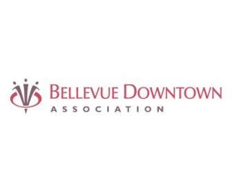 Association Du Centre De Bellevue