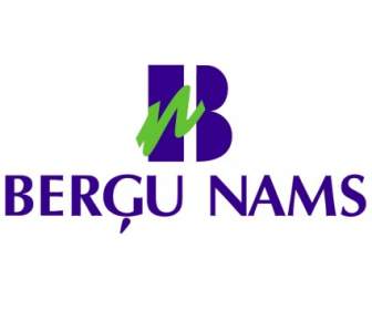 Bergou Nams