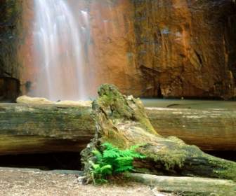 Berry Creek Falls Wallpaper Waterfalls Nature