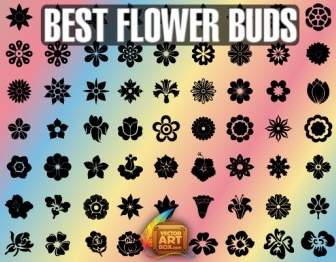 Best Flower Buds