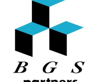 BGS Partenaires
