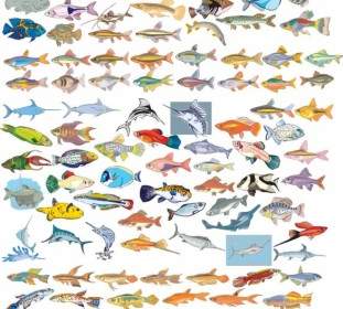 Große Vektor-Sammlung Von Verschiedenen Fischen