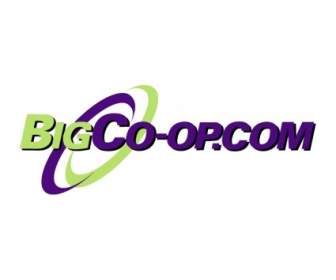 Opcom BigCo