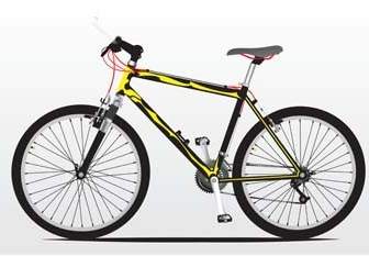 Bike Sport Vector