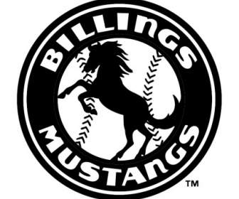 Mustang Billings