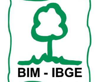 巴西地理統計局 Bim