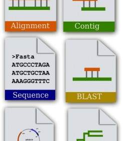 Set Di Icone Di Bioinformatica