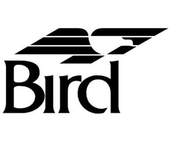 Pássaro
