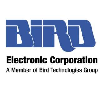 Pájaro Electrónico