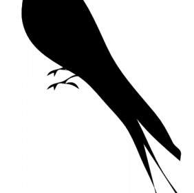 นกยืนต้นไม้เถาวัลย์รูปเงาดำปะ