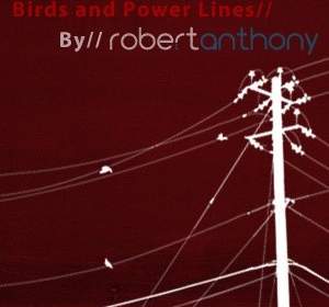 Birds And Power Lines