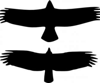 Clipart Oiseaux