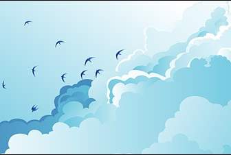 птицы на небе облачно