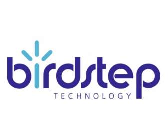 Birdstep 技術