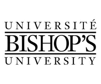 Université Des évêques