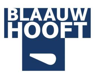 Blaauw 霍夫特