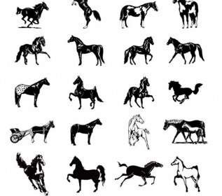 Bianco E Nero Cavallo Clip Art Foto