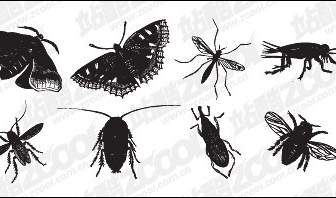 黒と白の昆虫のベクター素材