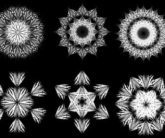 黑色和白色的線描花卉圖案向量