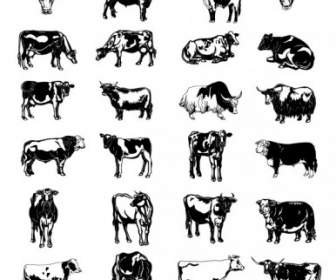 Série De Imagens Preto E Branco De Um Vetor De Vetor De Vaca Pintada
