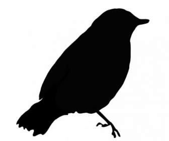 Uccello Nero